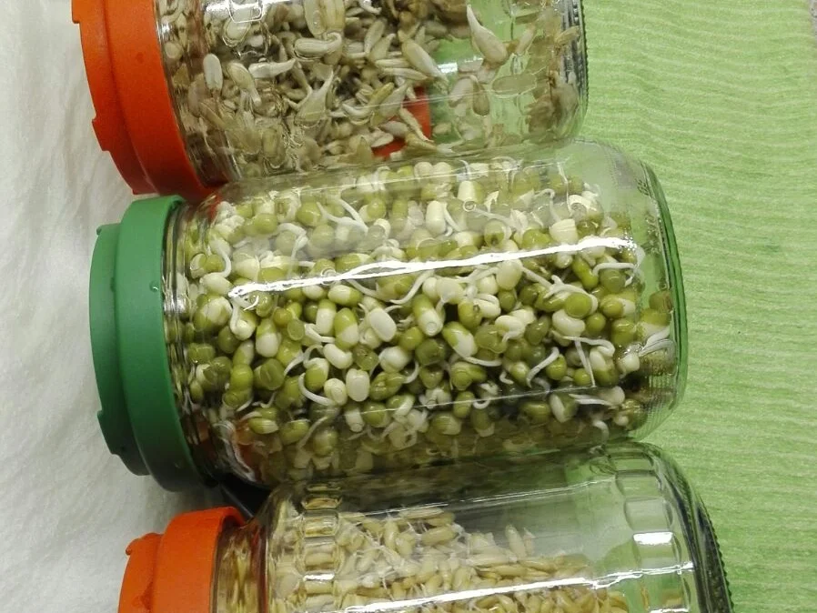 Bunte Suppe mit gekeimten Linsen - kochbar Challenge 1.0 (Januar 2020) - Rezept - Bild Nr. 9784