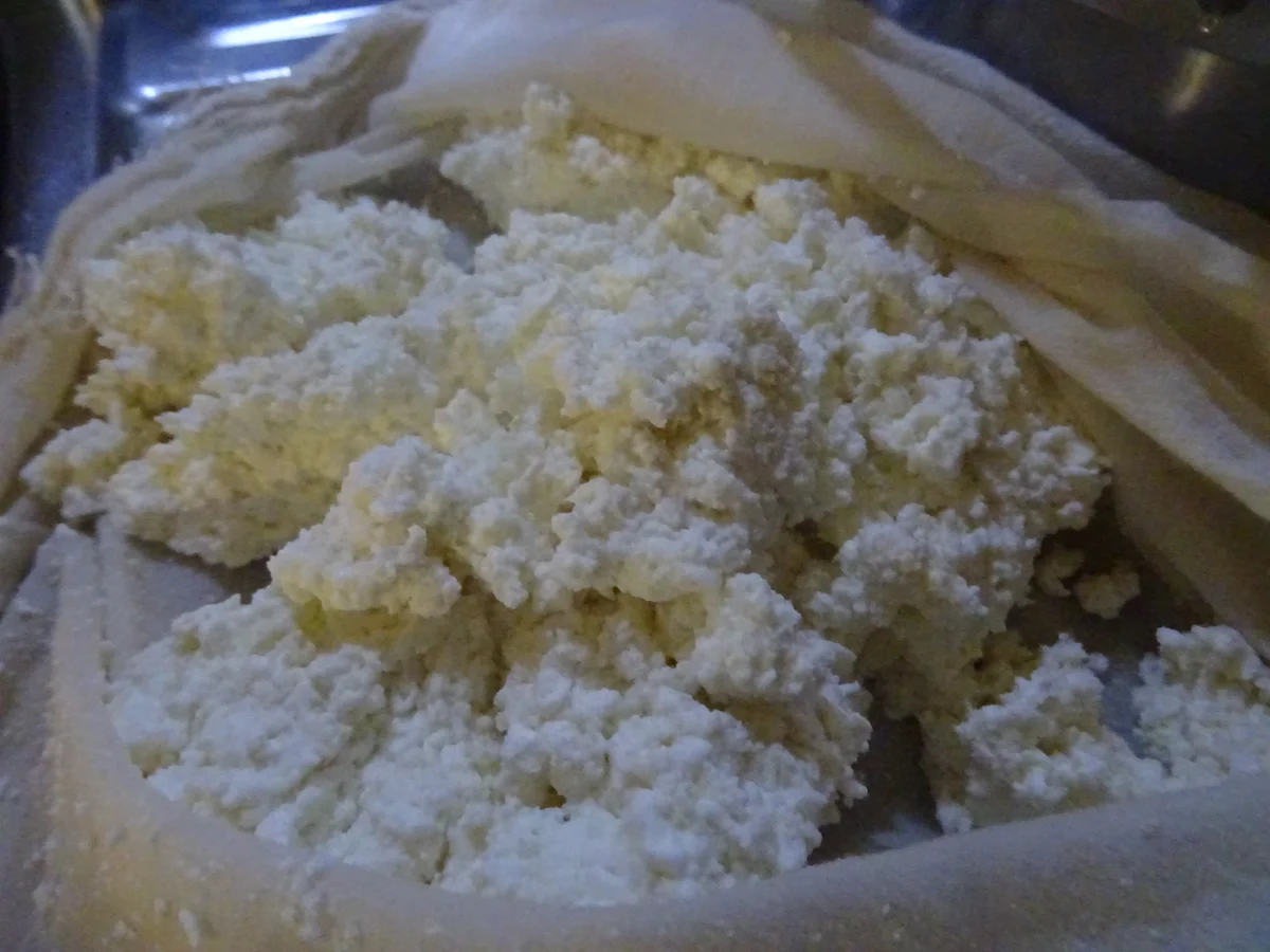 Schnittkäse, halbfest - Rezept - Bild Nr. 8