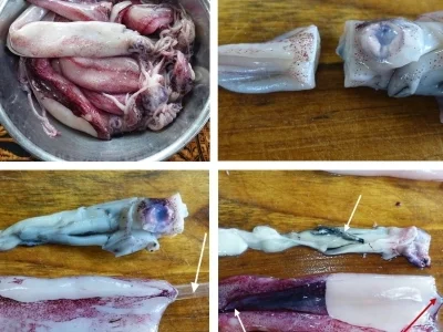 Tintenfischringe im Mehlmantel mit süßer Tamarindensauce - Rezept - Bild Nr. 3