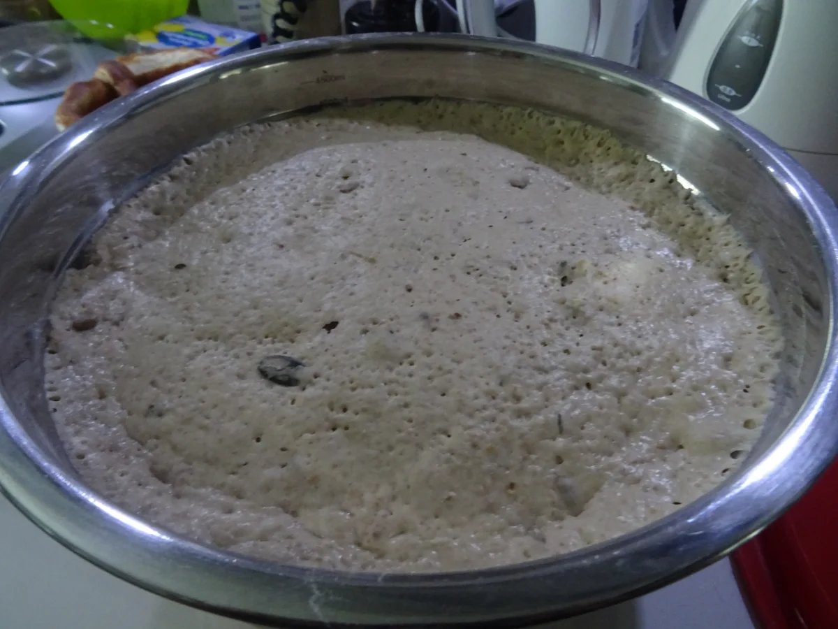 Dinkel-Baguette mit Körnern und Walnüssen - Rezept - Bild Nr. 6