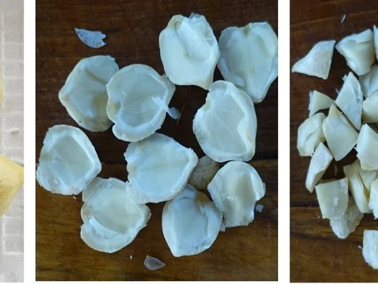 Scharfe Zucchini-Rouladen mit Rindfleisch- und Gemüsefüllung - Rezept - Bild Nr. 14