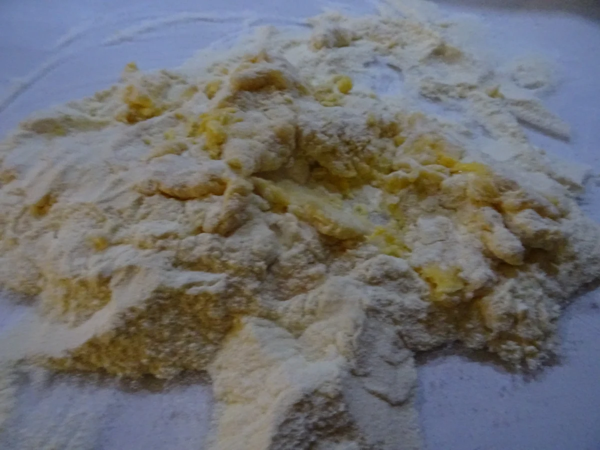 Reginette con finferli e salsa di panna - Rezept - Bild Nr. 7