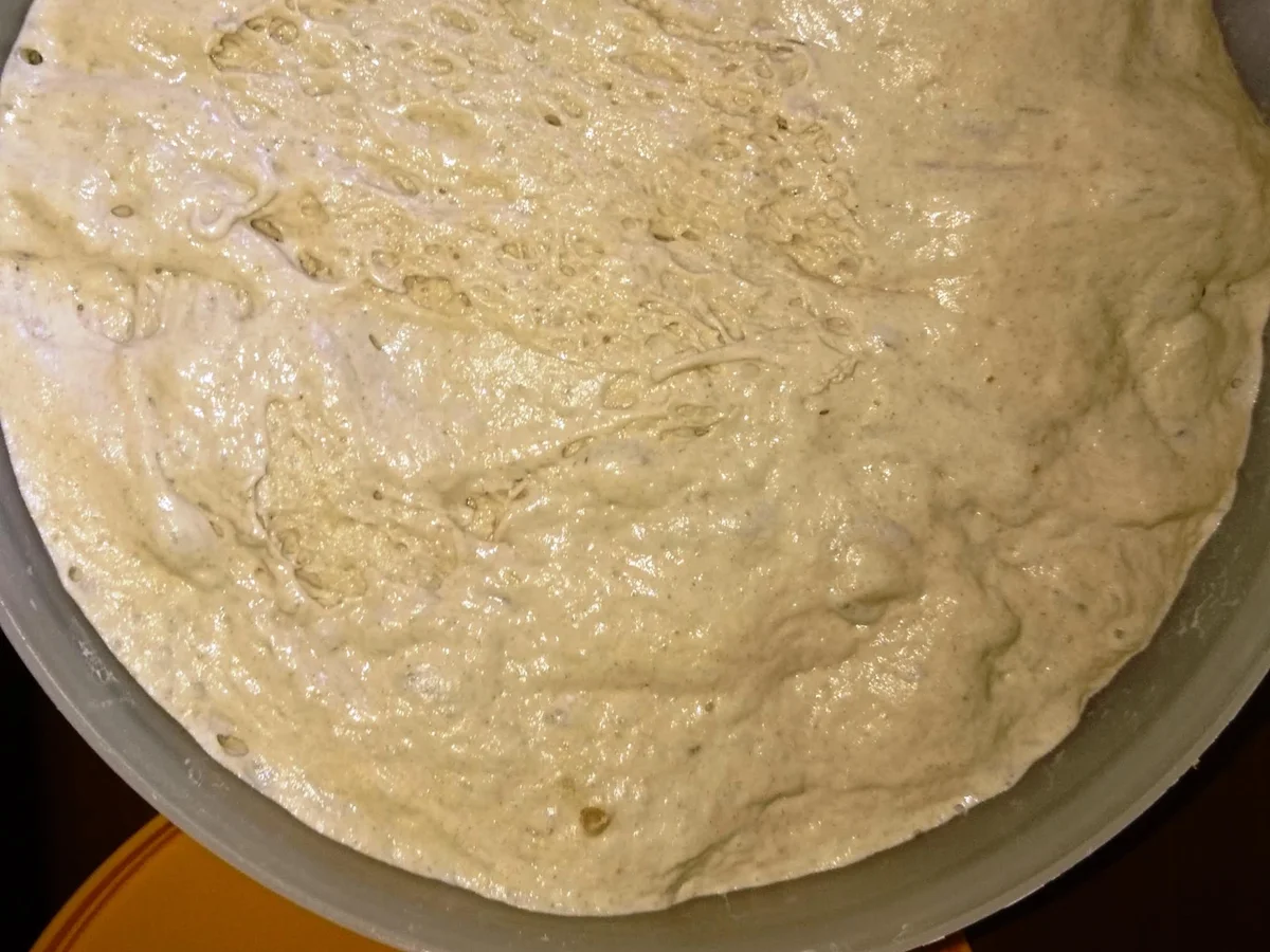 Rezept: Rustikale Krustenbrötchen Bild Nr. 9877 Rustikale Krustenbrötchen - Rezept - Bild Nr. 9877