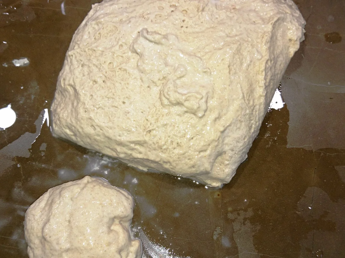 Rezept: Rustikale Krustenbrötchen Bild Nr. 9878 Rustikale Krustenbrötchen - Rezept - Bild Nr. 9878