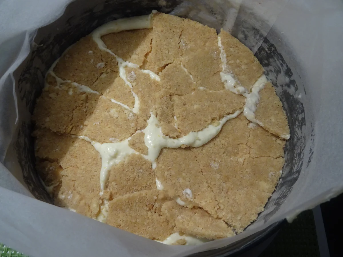 Orangen-Käse-Sahne-Torte - Rezept - Bild Nr. 9865