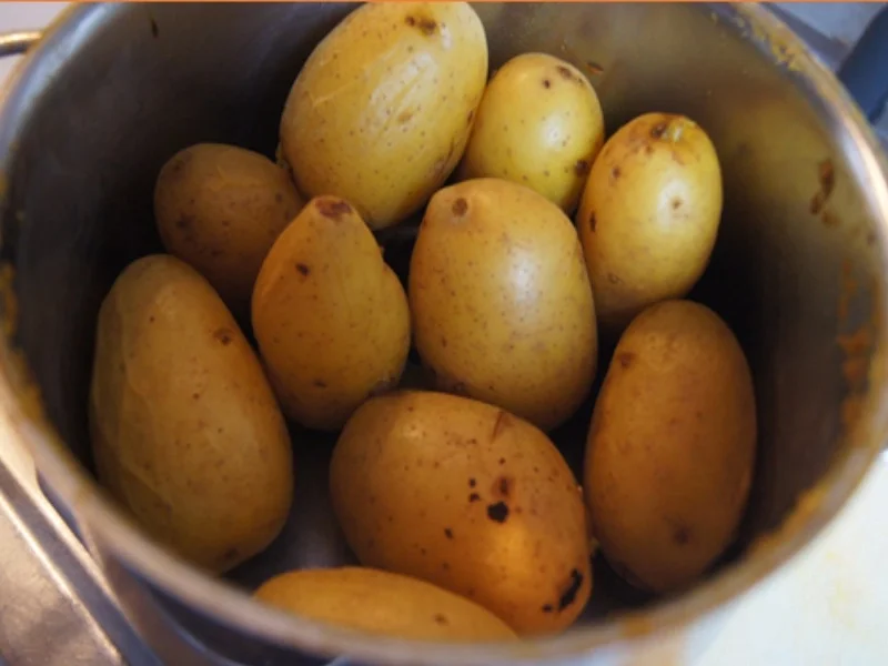 Apfel-Matjesfilet-Salat mit Pellkartoffeln - Rezept - Bild Nr. 14