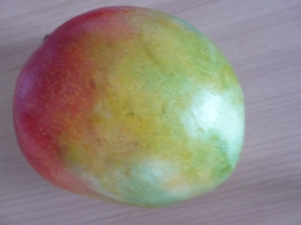 Rezept: Steckrübensalat mit Pute Bild Nr. 8 Steckrübensalat mit Pute - Rezept - Bild Nr. 8