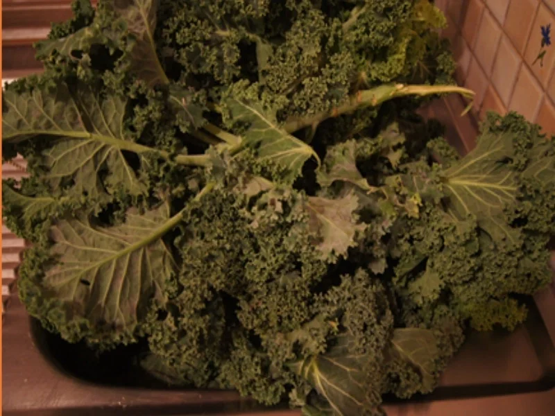 Grünkohleintopf mit Gemüse und Fleischwurst - Rezept - Bild Nr. 4