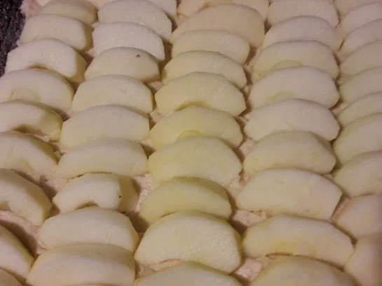 Apfelkuchen mit Streuseln - Rezept - Bild Nr. 8