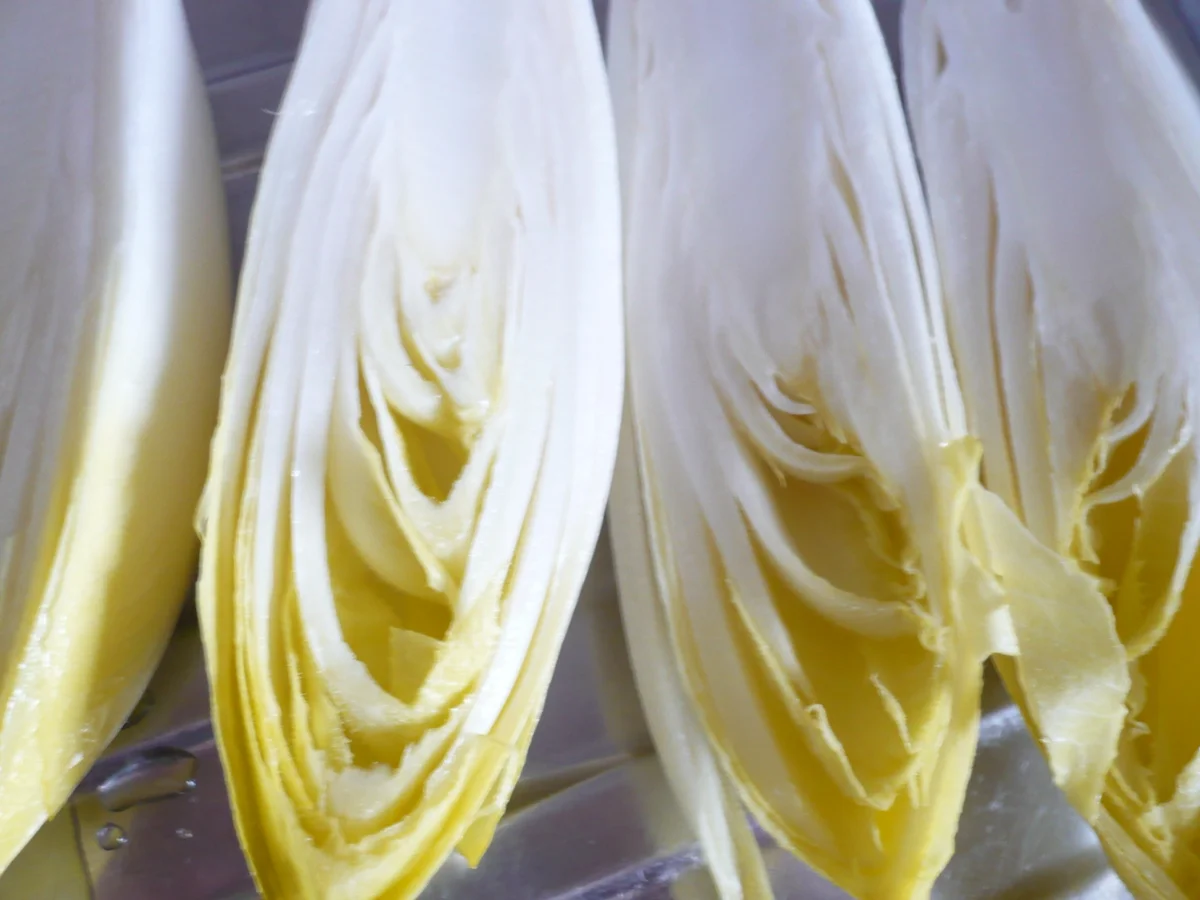 Chicoree mit Räucherlachs und Erbsen - Rezept - Bild Nr. 4