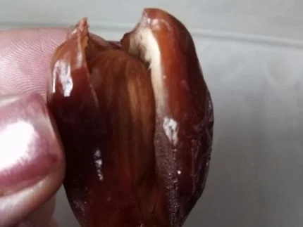 Datteln in Haferflocken-Erdnuss-Mantel - Rezept - Bild Nr. 3