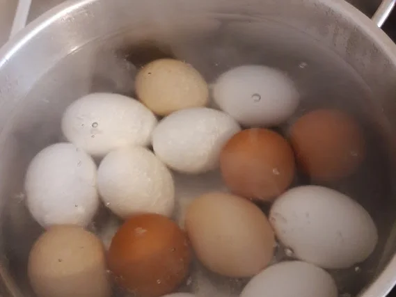 Rezept: Soleier Bild Nr. 4 Soleier - Rezept - Bild Nr. 4