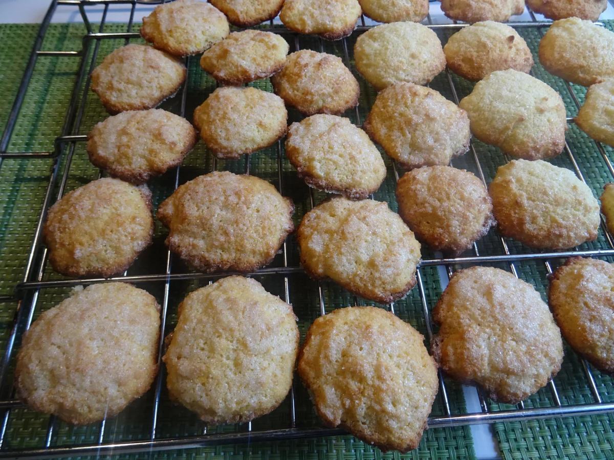 Orangen-Kokos-Plätzchen - Rezept - Bild Nr. 3