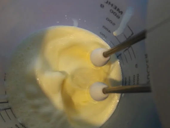 Rezept: Mango - Dessert Bild Nr. 9890 Mango - Dessert - Rezept - Bild Nr. 9890