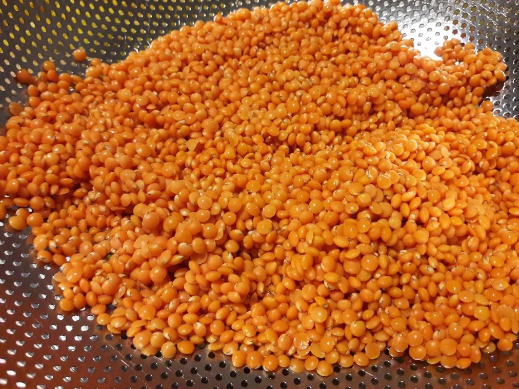 Rote Linsen - Suppe - Rezept - Bild Nr. 6