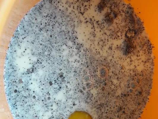 Mohnrolle - Rezept - Bild Nr. 7