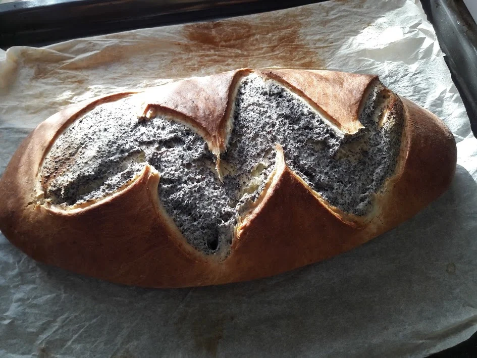 Mohnrolle - Rezept - Bild Nr. 14