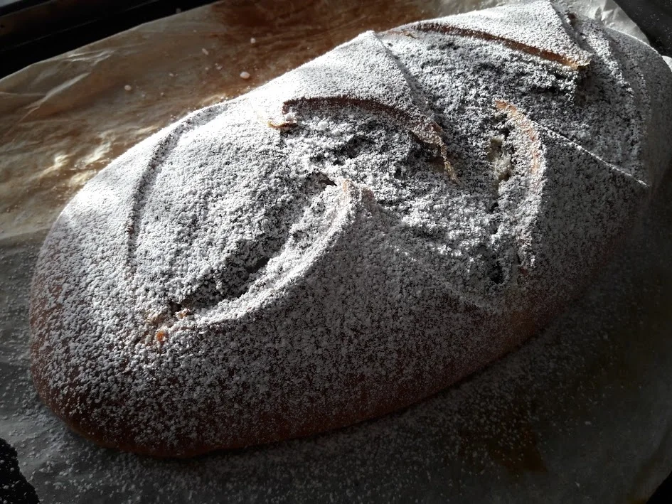 Mohnrolle - Rezept - Bild Nr. 15