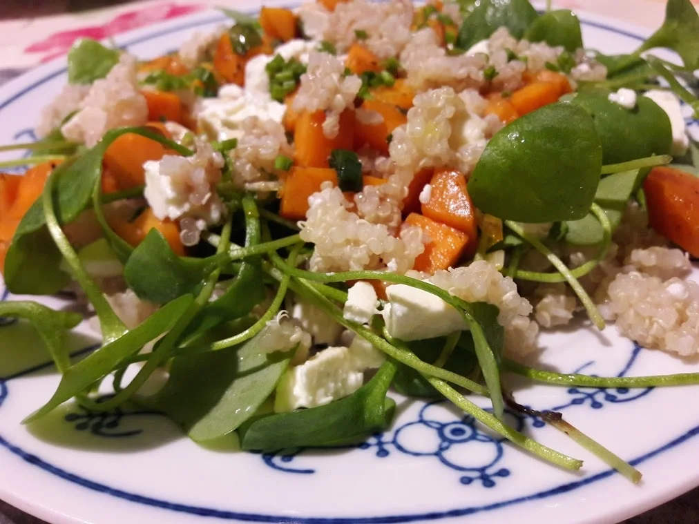 Rezept: Postelein Salat Bild Nr. 3 Postelein Salat - Rezept - Bild Nr. 3