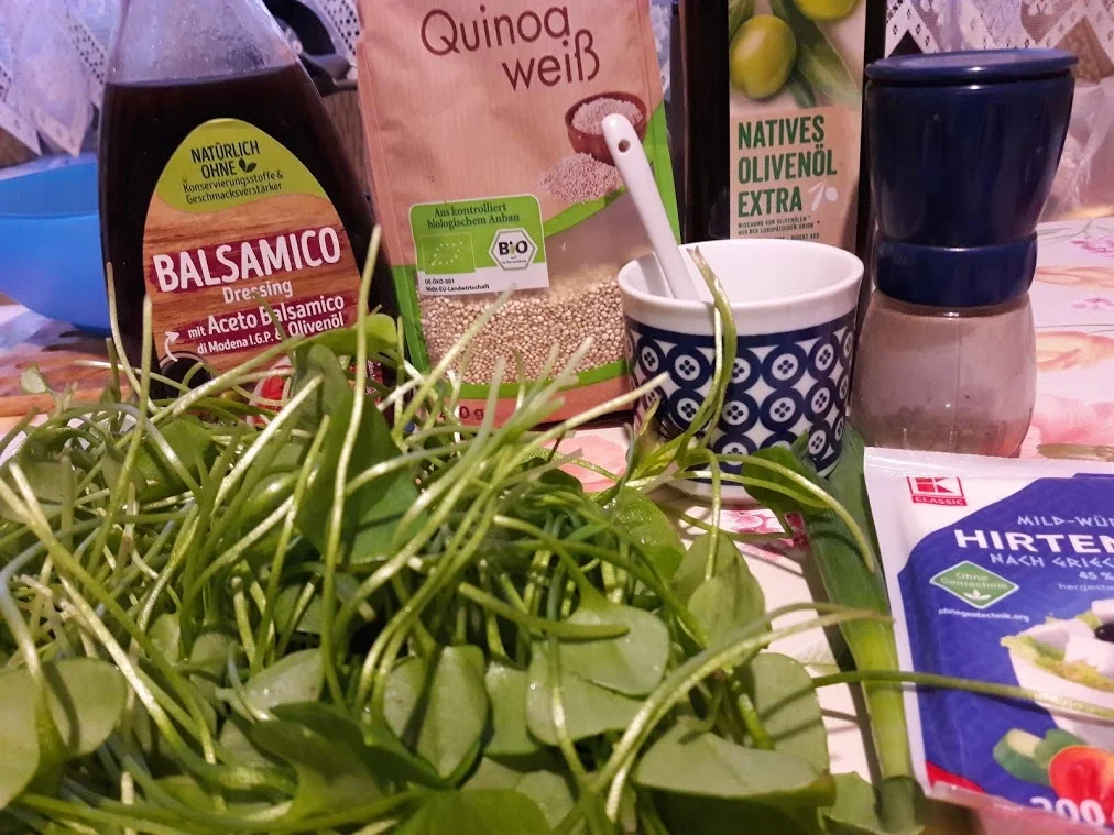 Rezept: Postelein Salat Bild Nr. 4 Postelein Salat - Rezept - Bild Nr. 4