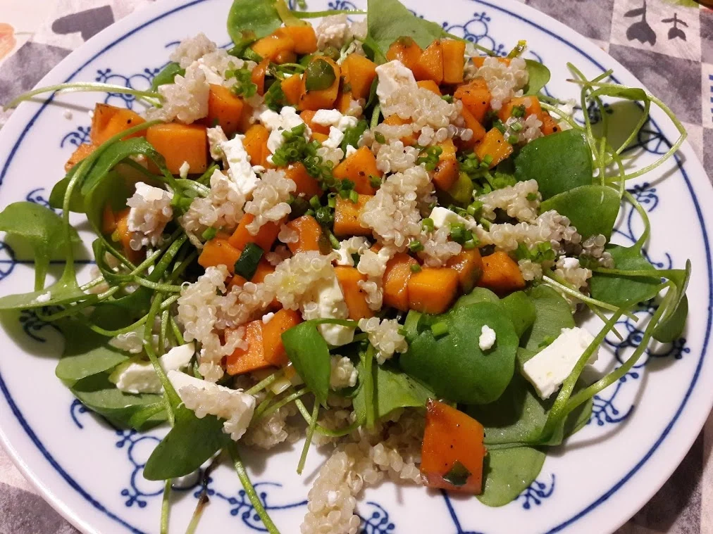 Rezept: Postelein Salat Bild Nr. 9 Postelein Salat - Rezept - Bild Nr. 9