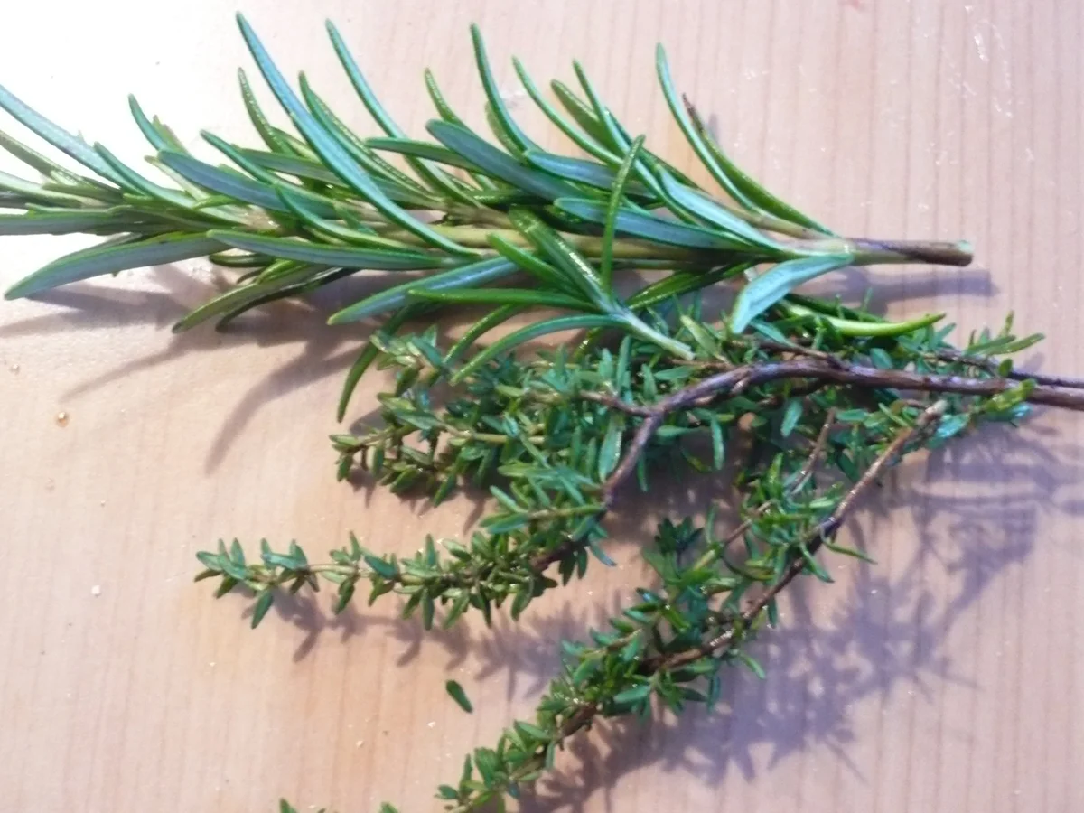 Boeuf Bourguignon - Rezept - Bild Nr. 7