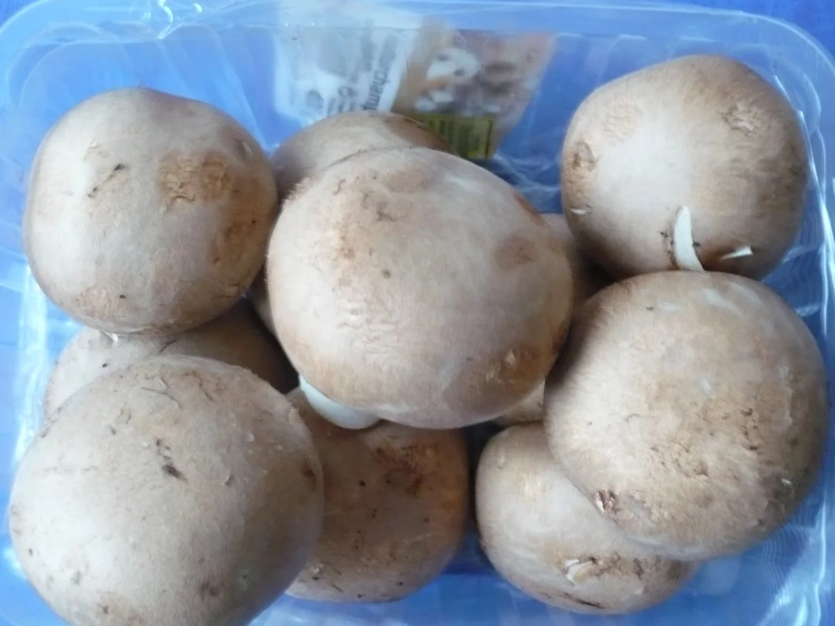 Boeuf Bourguignon - Rezept - Bild Nr. 11