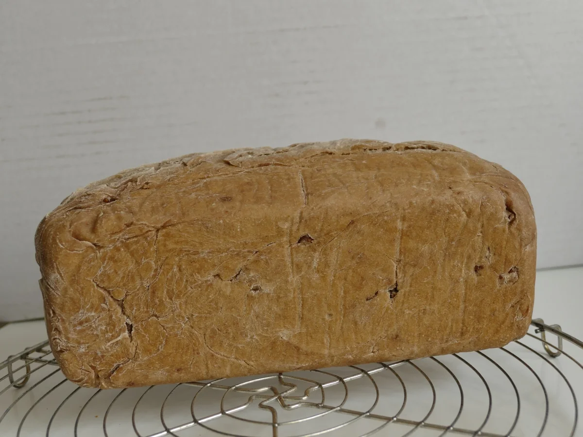 Walnussbrot - Rezept - Bild Nr. 5