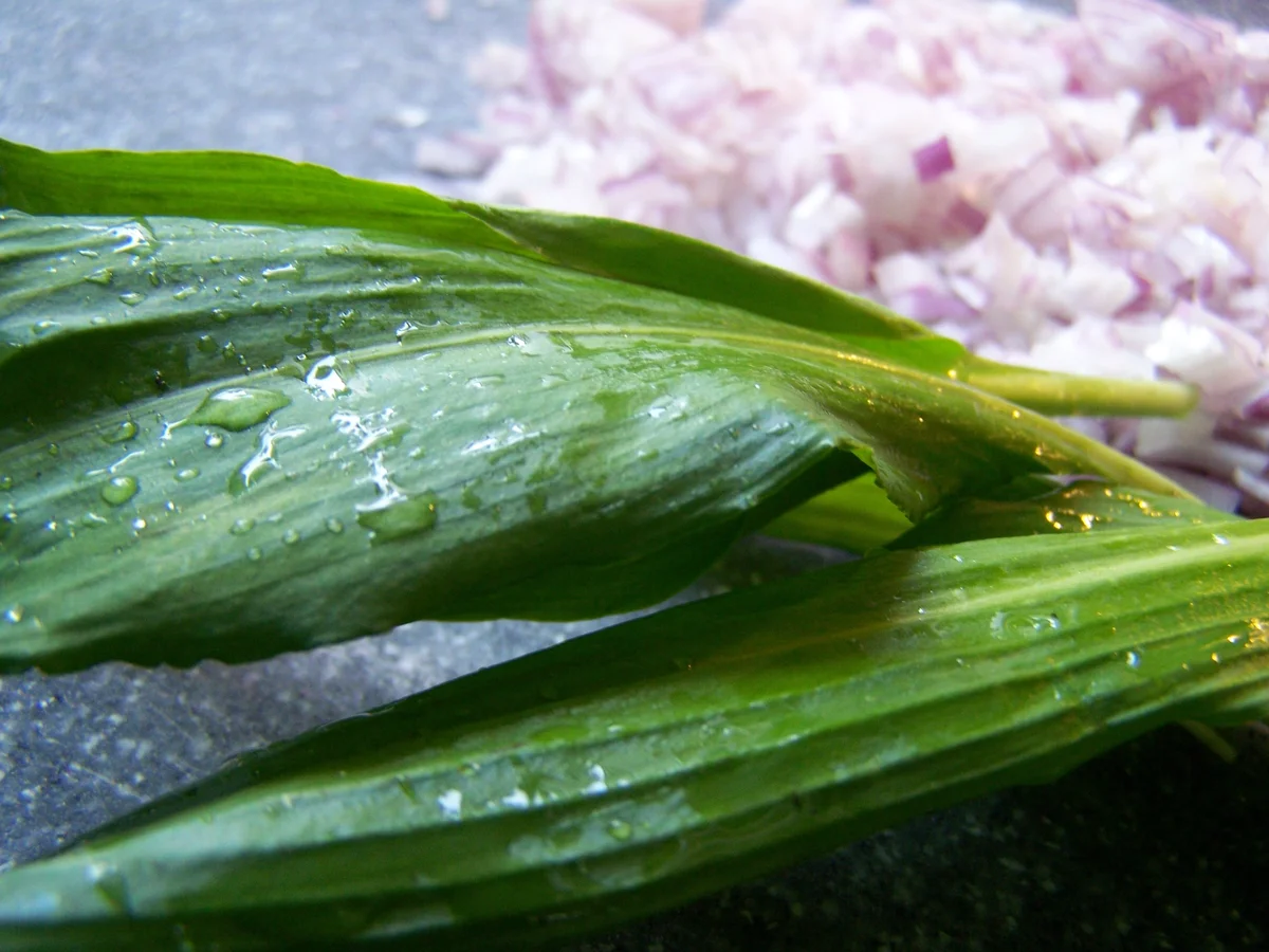 Rote Beetesuppe - Rezept - Bild Nr. 4