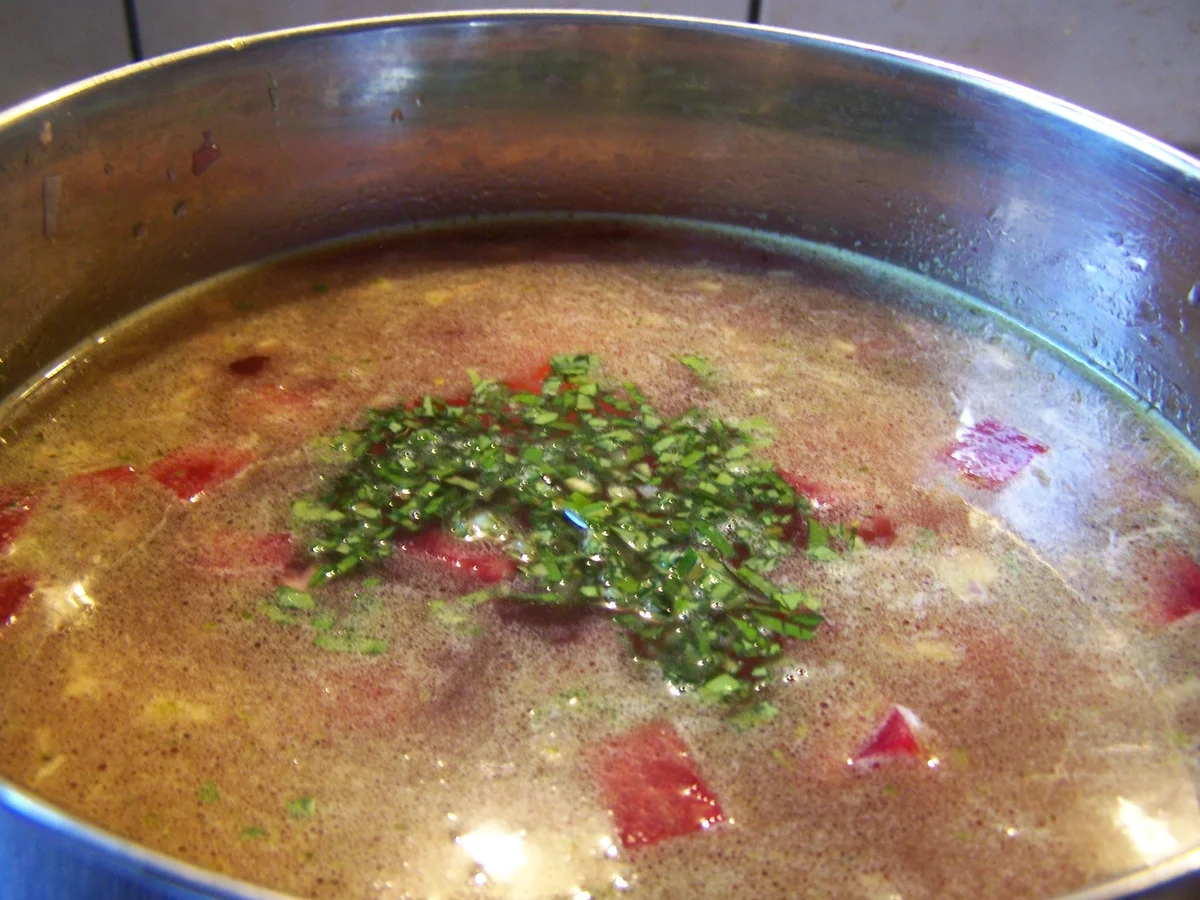 Rote Beetesuppe - Rezept - Bild Nr. 9