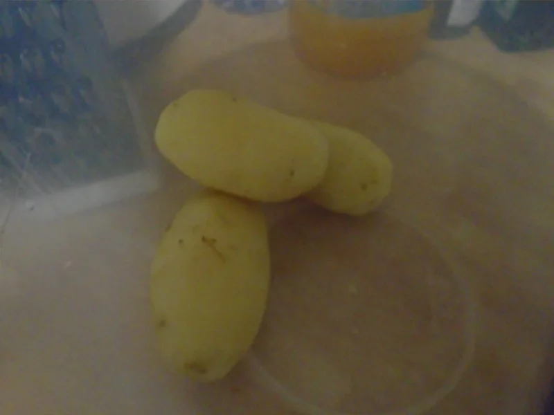 Kartoffel-Rindfleisch-Buletten mit Petersilien-Sauce, Blumenkohl und Drillingen - Rezept - Bild Nr. 4