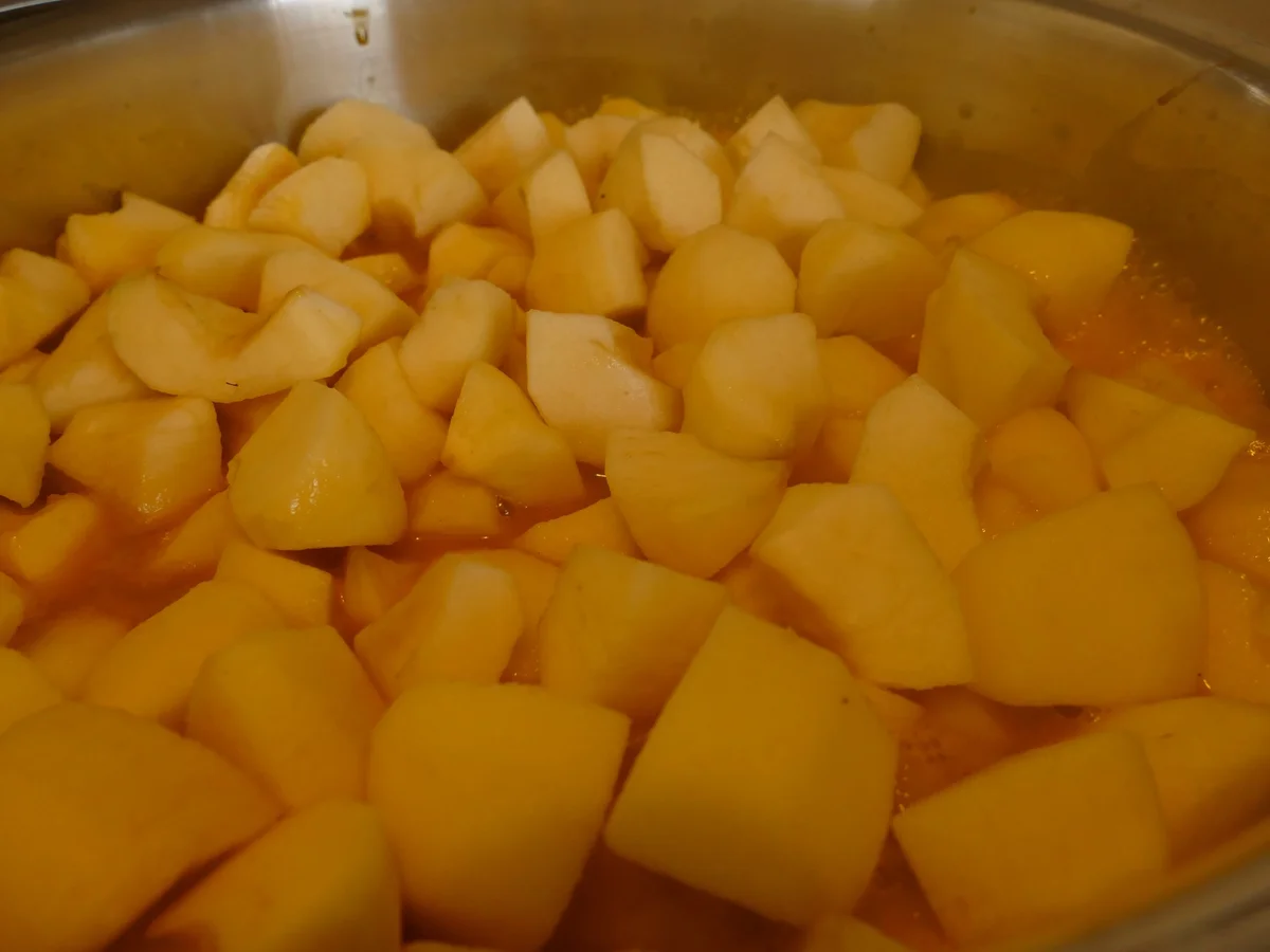 Apfelkompott _ Orangen _ Sanddorn _ Ingwer - Rezept - Bild Nr. 9950