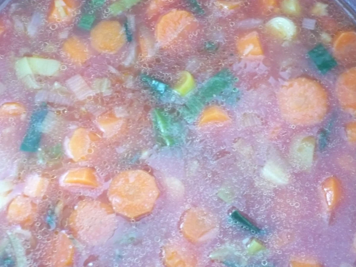 Möhren - Tomaten - Suppe - Rezept - Bild Nr. 8