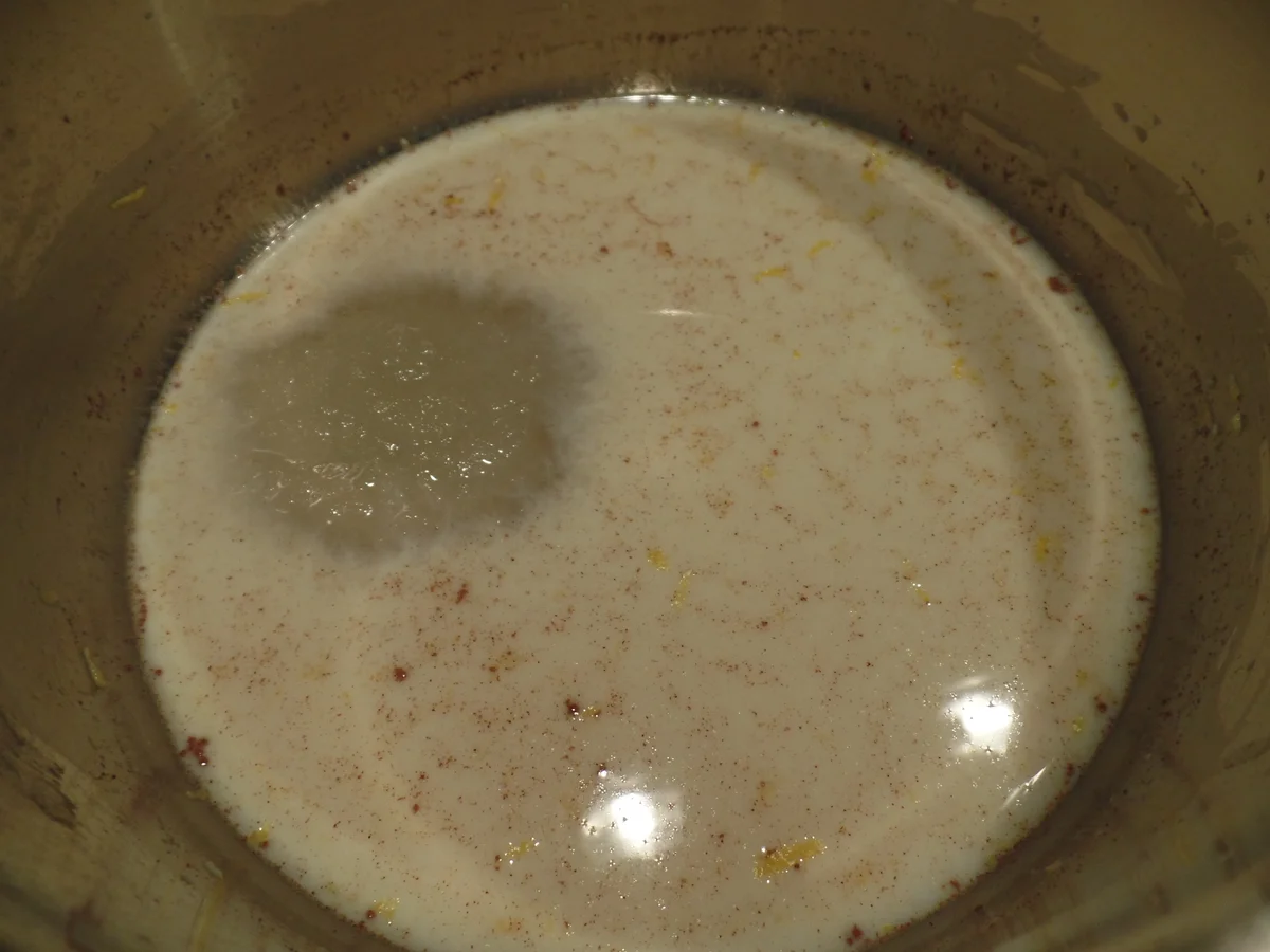 Joghurt-Panna-Cotta - Rezept - Bild Nr. 9953