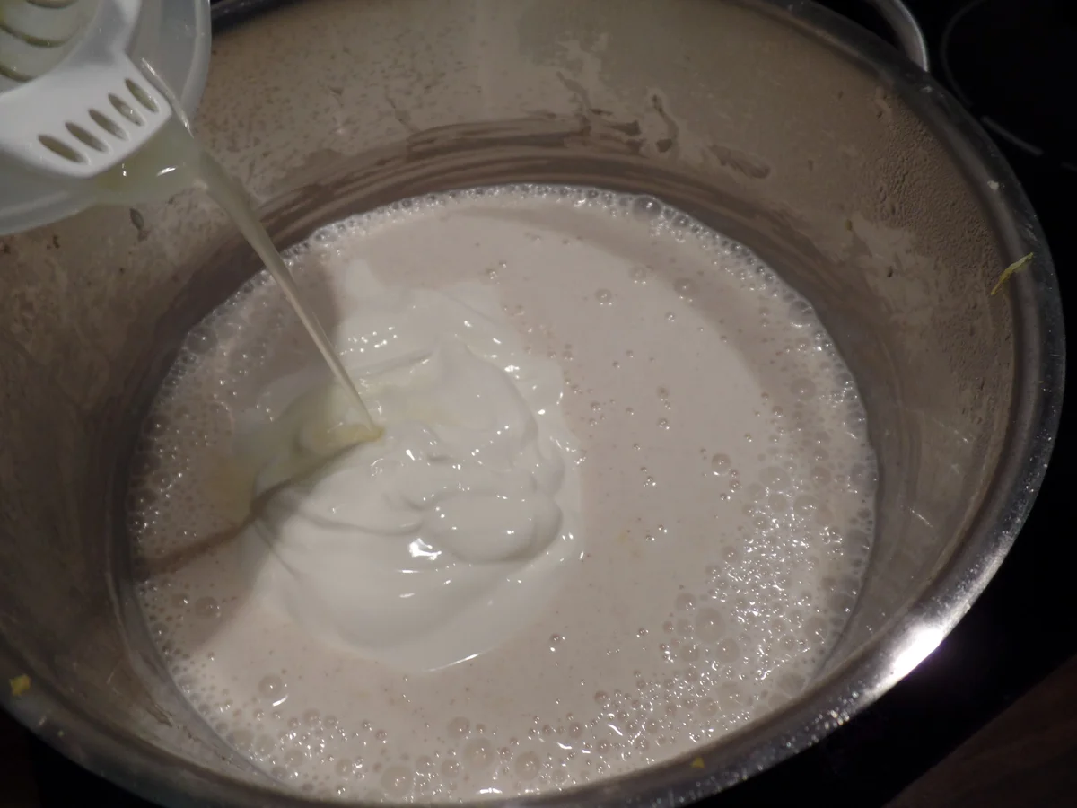 Joghurt-Panna-Cotta - Rezept - Bild Nr. 9955