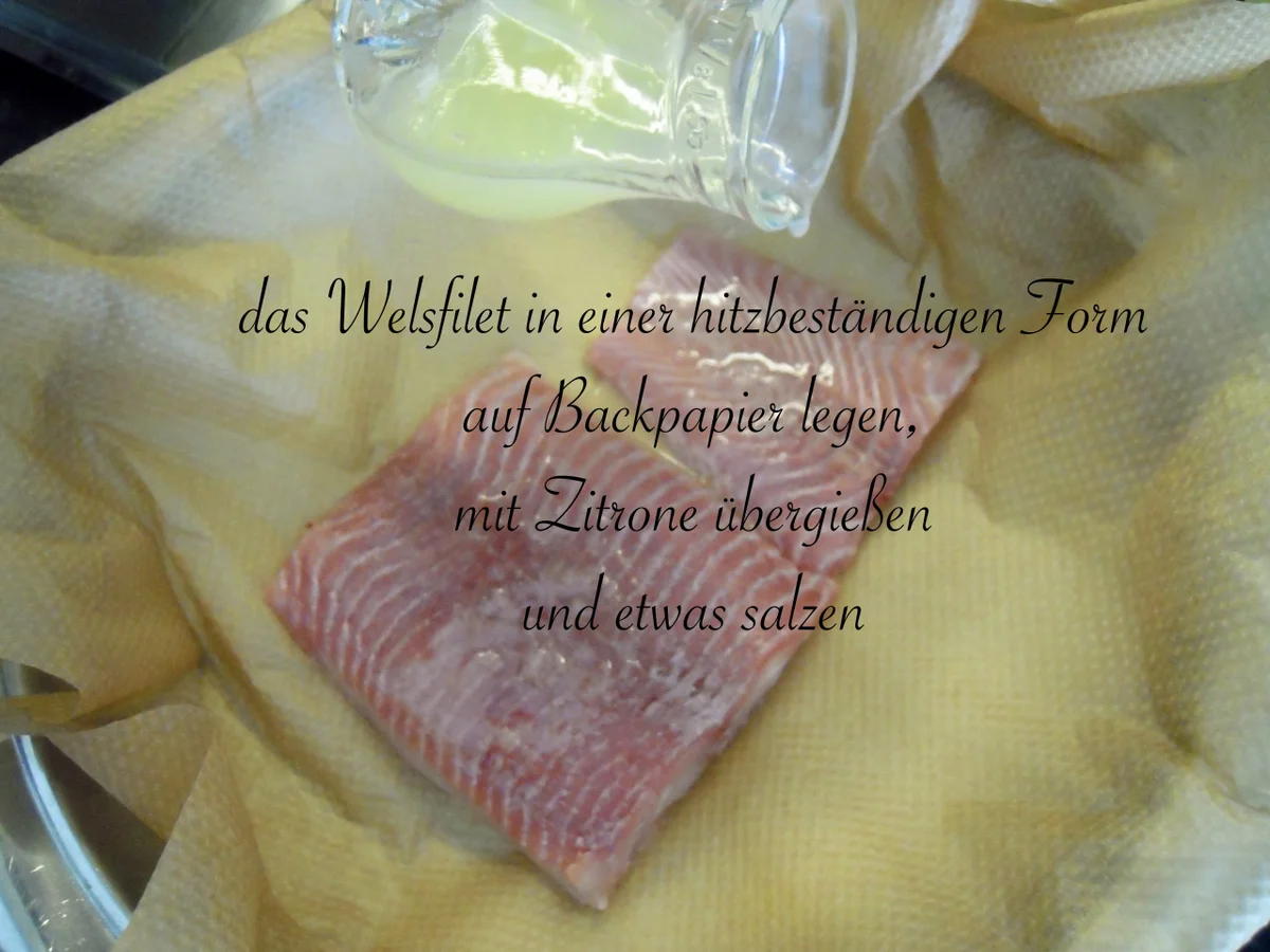 Rezept: Welsfilet mit fruchtiger Pfefferbröselkruste Bild Nr. 9956 Welsfilet mit fruchtiger Pfefferbröselkruste - Rezept - Bild Nr. 9956