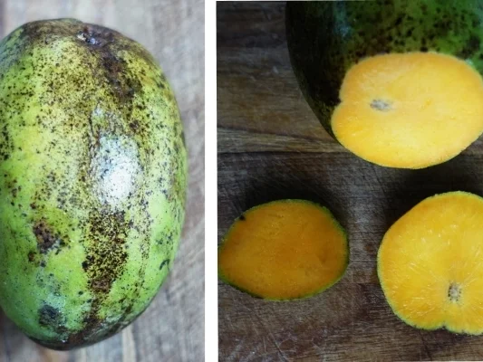 Heller indonesischer Mangosirup - Rezept - Bild Nr. 3