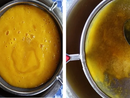 Heller indonesischer Mangosirup - Rezept - Bild Nr. 9