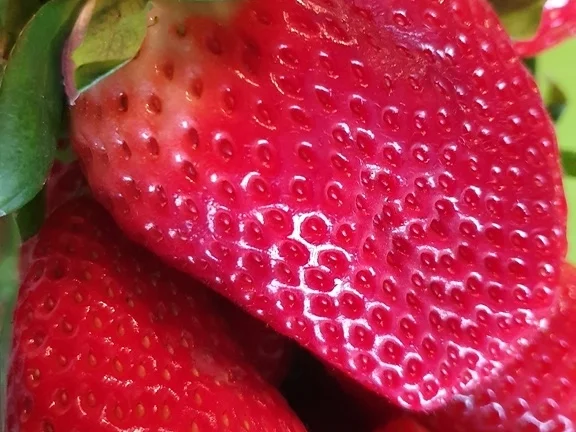 Oecher  Wrap`s - Rezept - Bild Nr. 18