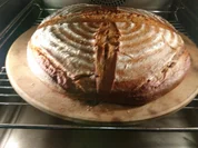 Dinkelsauerteigbrot mit wilden Hefen - Rezept - Bild Nr. 10012