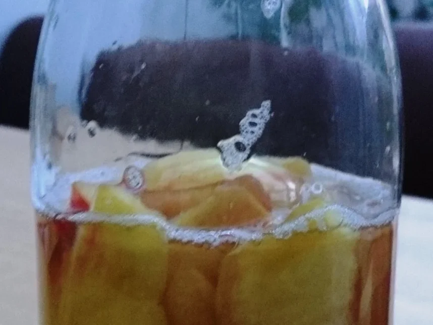 Rezept: Dinkelsauerteigbrot mit wilden Hefen Bild Nr. 10014 Dinkelsauerteigbrot mit wilden Hefen - Rezept - Bild Nr. 10014