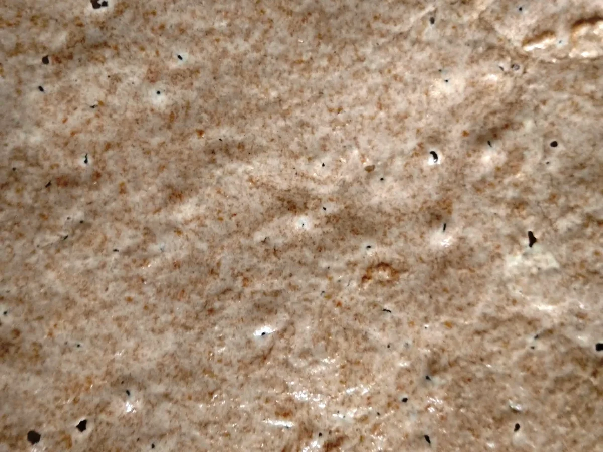 Rezept: Dinkelsauerteigbrot mit wilden Hefen Bild Nr. 10017 Dinkelsauerteigbrot mit wilden Hefen - Rezept - Bild Nr. 10017