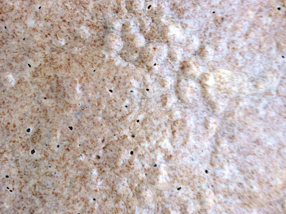 Rezept: Dinkelsauerteigbrot mit wilden Hefen Bild Nr. 10018 Dinkelsauerteigbrot mit wilden Hefen - Rezept - Bild Nr. 10018