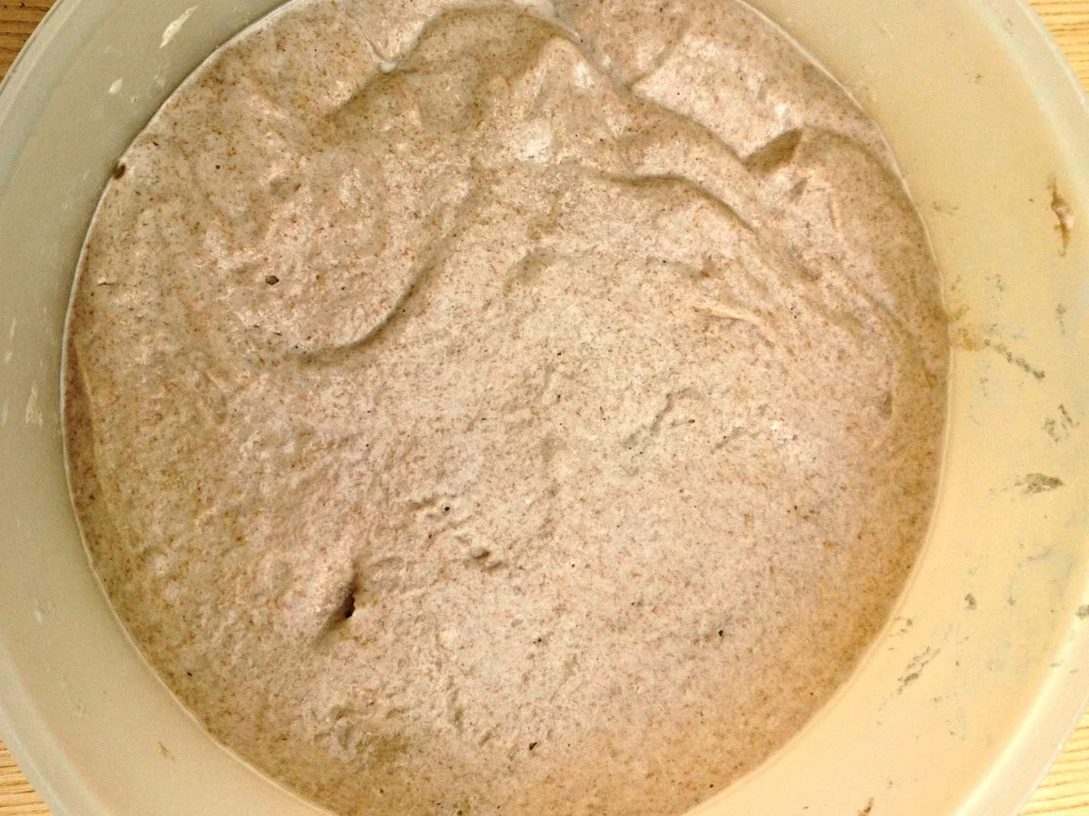 Rezept: Dinkelsauerteigbrot mit wilden Hefen Bild Nr. 10019 Dinkelsauerteigbrot mit wilden Hefen - Rezept - Bild Nr. 10019