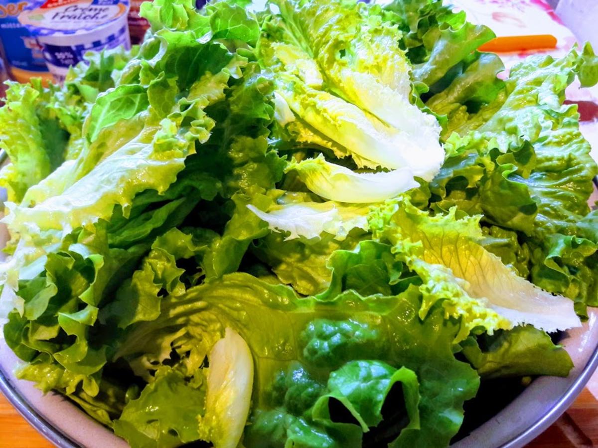 Salat - Rezept - Bild Nr. 5