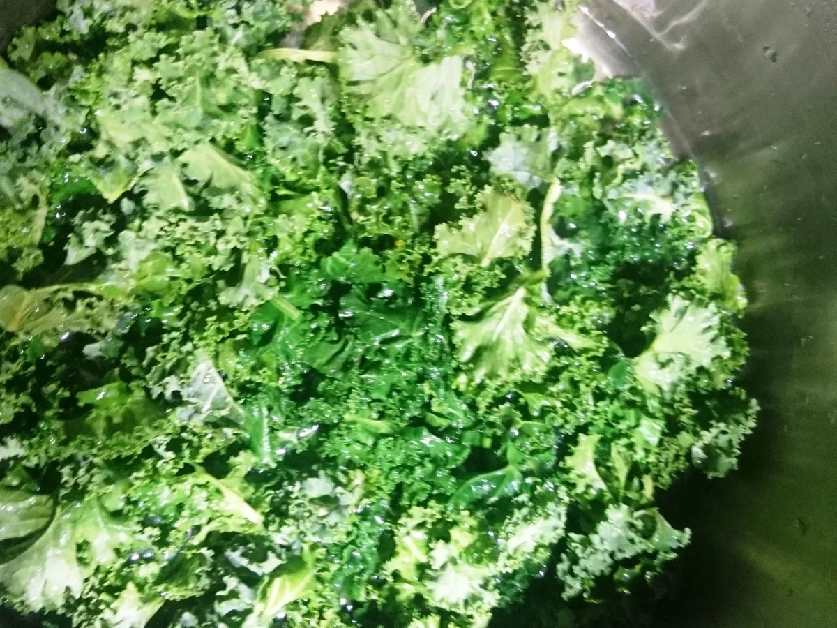 Lachsfilet auf cremigem Grünkohl - Rezept - Bild Nr. 4