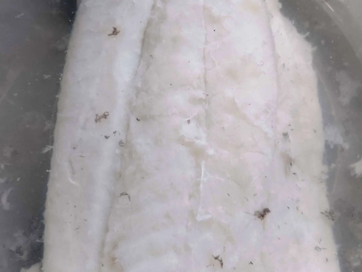 Bacalhau mit Pasta - Rezept - Bild Nr. 3