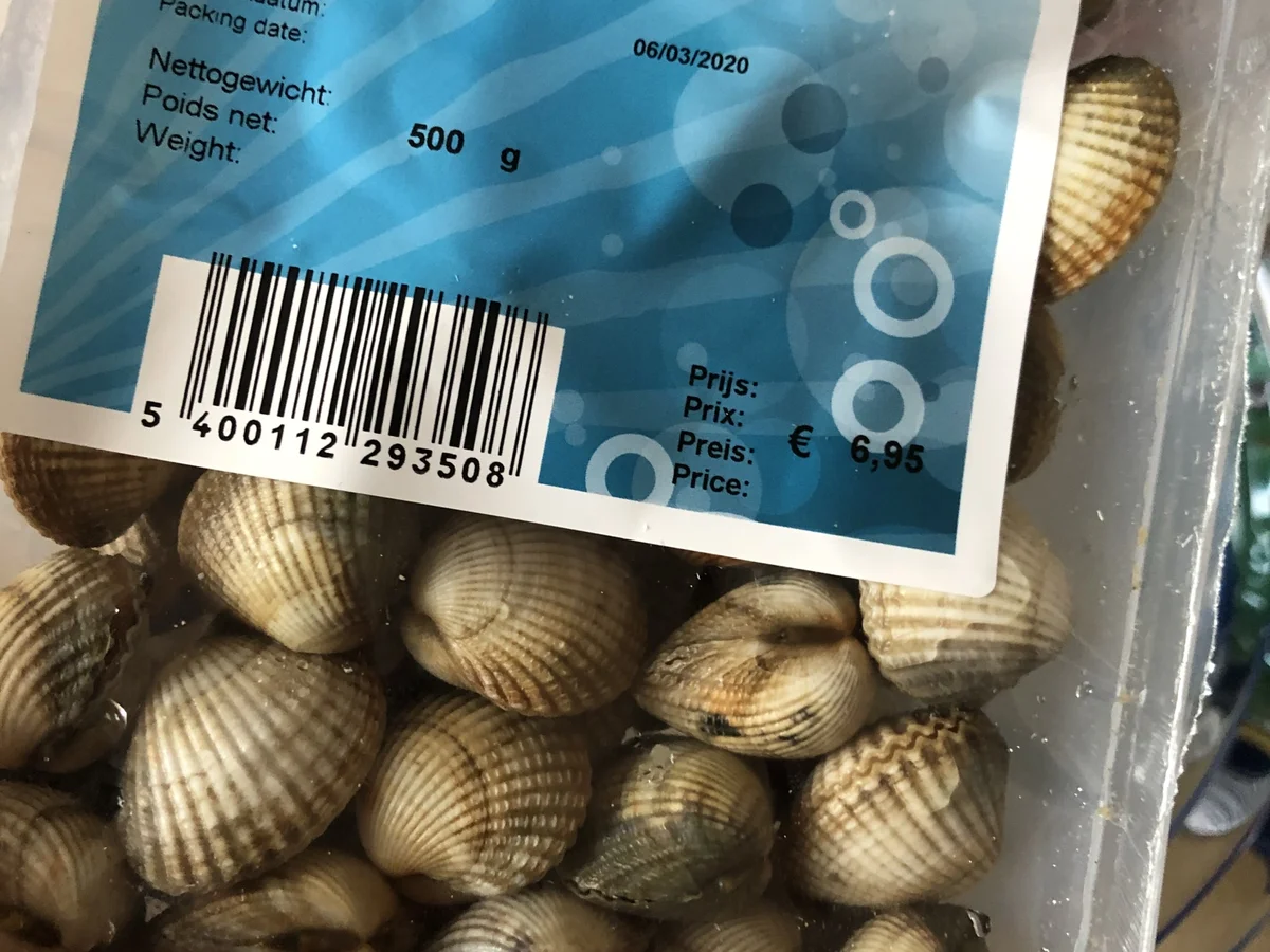 Rezept: Spaghetti fasolari Bild Nr. 4 Spaghetti fasolari - Rezept - Bild Nr. 4