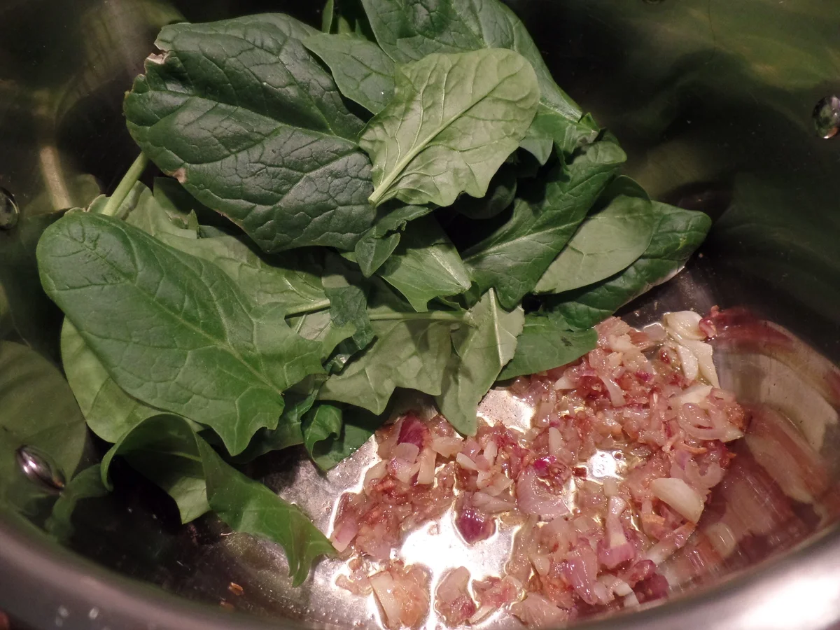 Spaghetti-Tricolore mit Möhrensauce - Rezept - Bild Nr. 10047