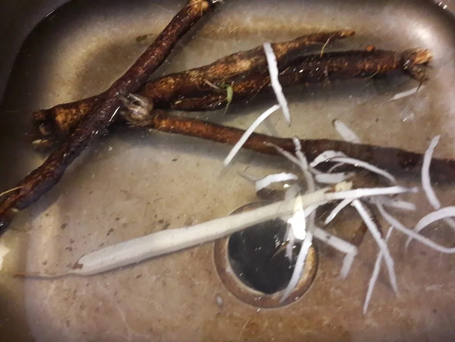 Schwarzwurzel Ragout - Rezept - Bild Nr. 3